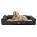 Pelech Golden Dog Boucle Torres M – grafitový